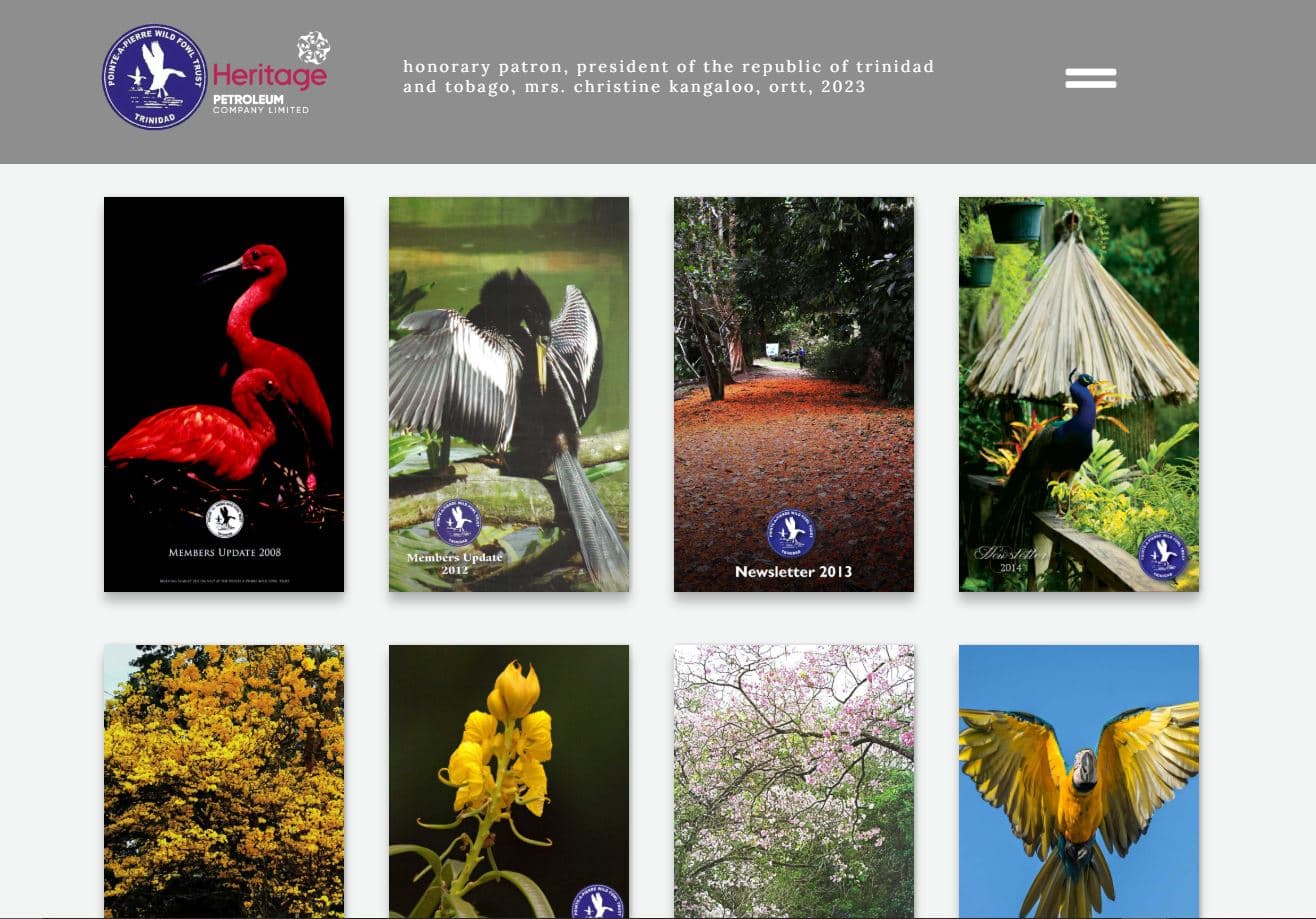 Digital Magazine